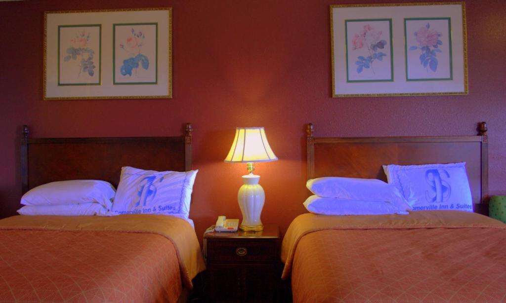 Somerville Inn And Suites 部屋 写真